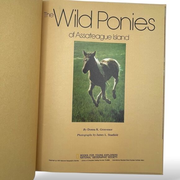 Three Little Indians Wild Ponies Assateague Island National Geographic Books - Picture 10 of 16